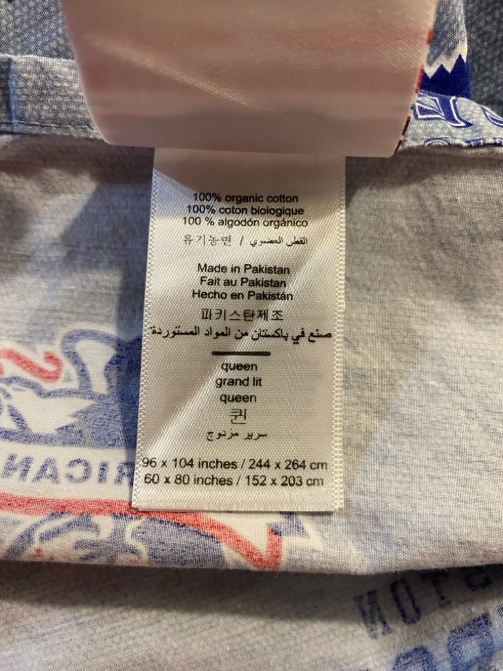 Pottery Barn Teen blue MLB Baseball organic cotton queen flat sheet